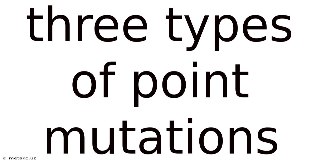 Three Types Of Point Mutations