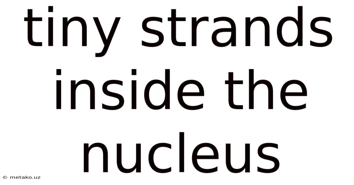 Tiny Strands Inside The Nucleus