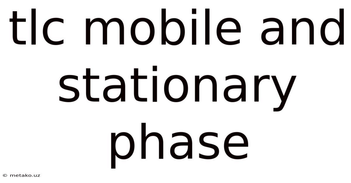 Tlc Mobile And Stationary Phase