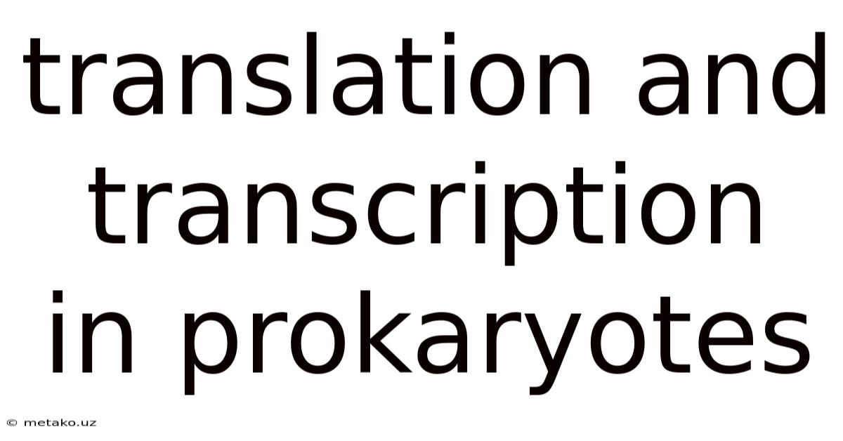 Translation And Transcription In Prokaryotes