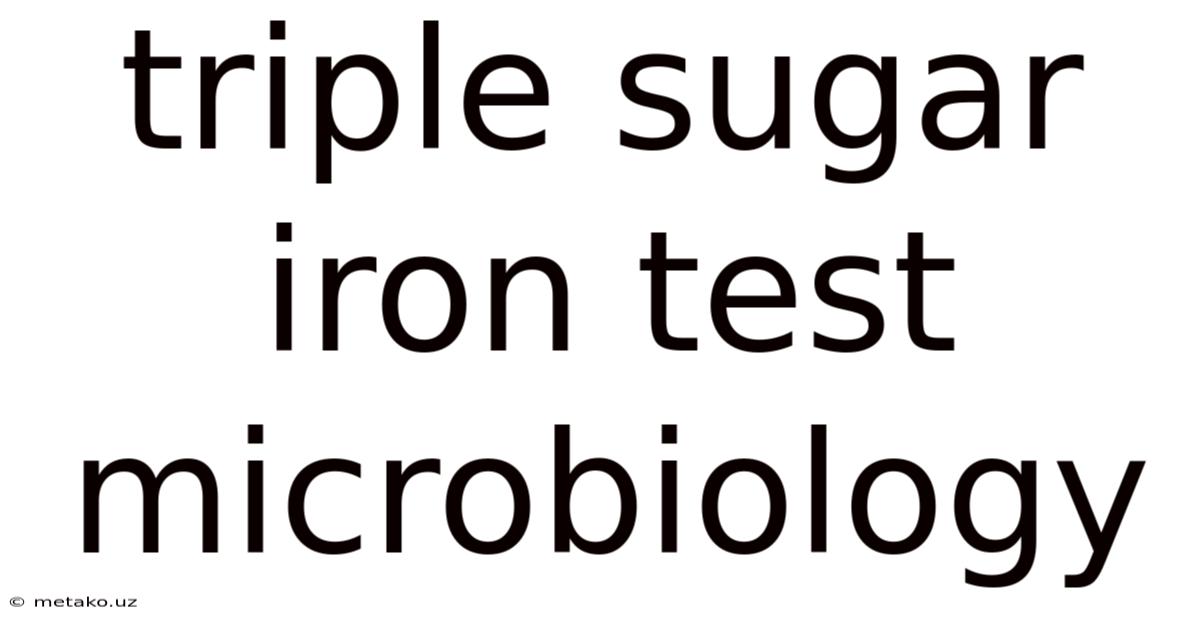 Triple Sugar Iron Test Microbiology