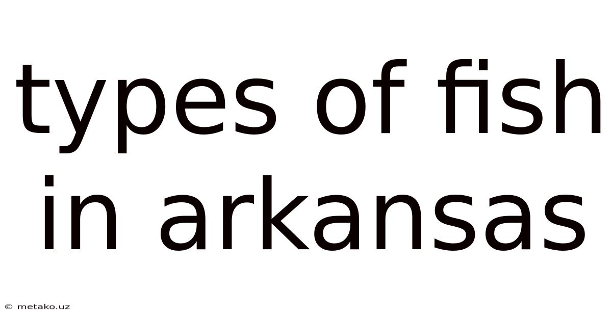 Types Of Fish In Arkansas