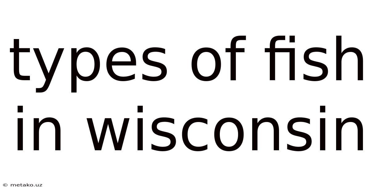 Types Of Fish In Wisconsin