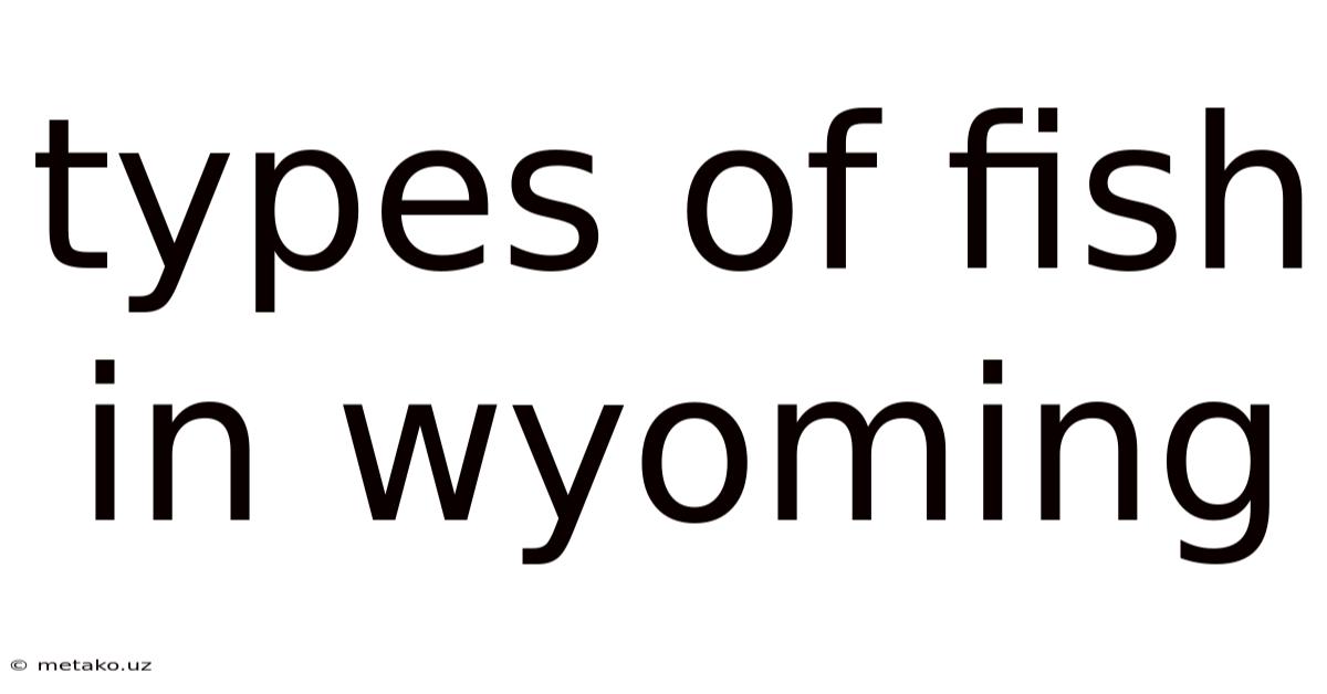 Types Of Fish In Wyoming