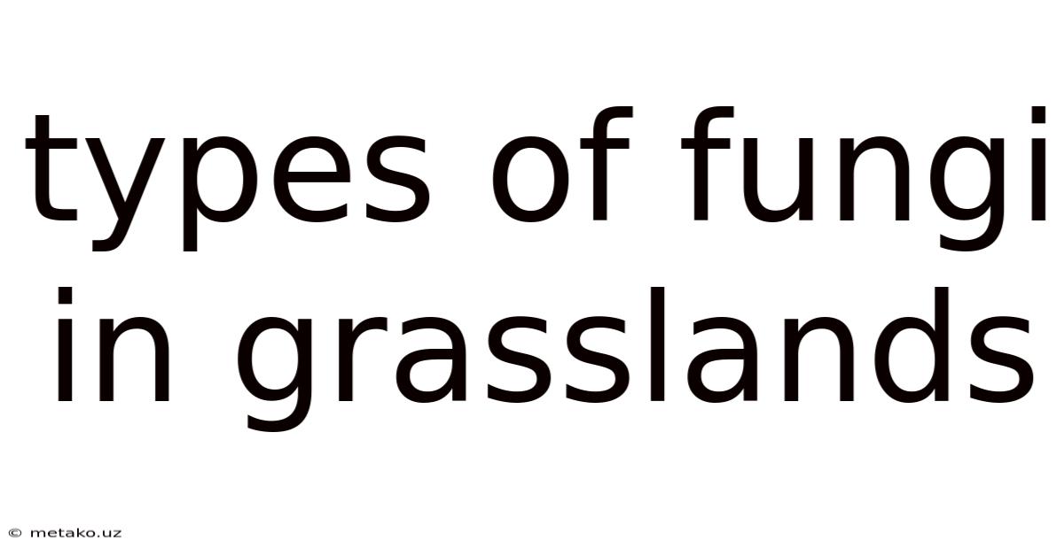 Types Of Fungi In Grasslands