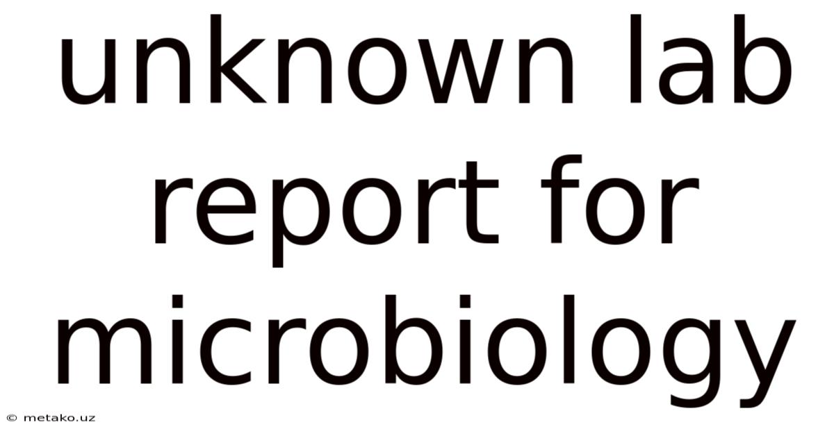 Unknown Lab Report For Microbiology