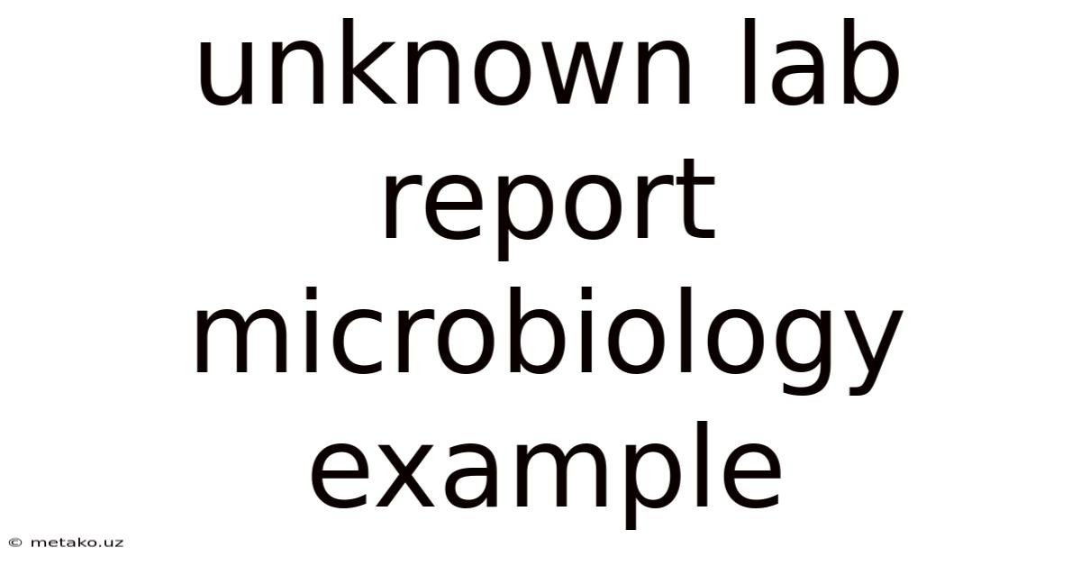Unknown Lab Report Microbiology Example