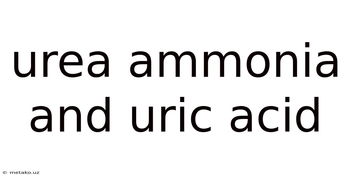 Urea Ammonia And Uric Acid