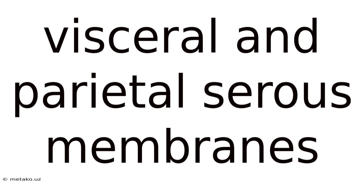 Visceral And Parietal Serous Membranes