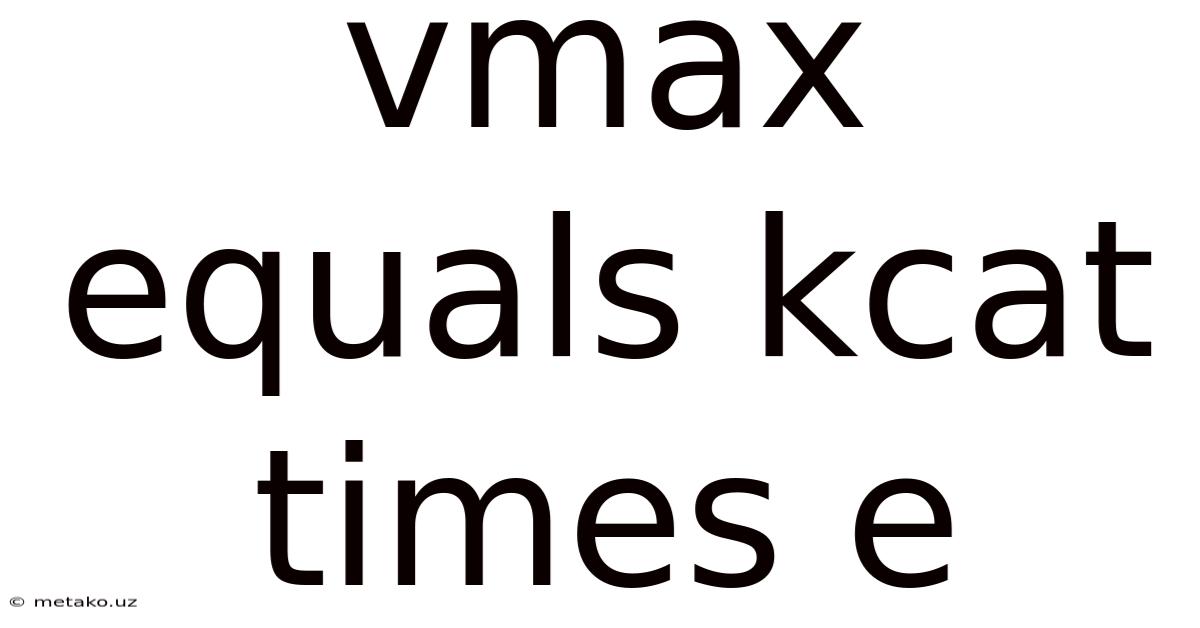 Vmax Equals Kcat Times E