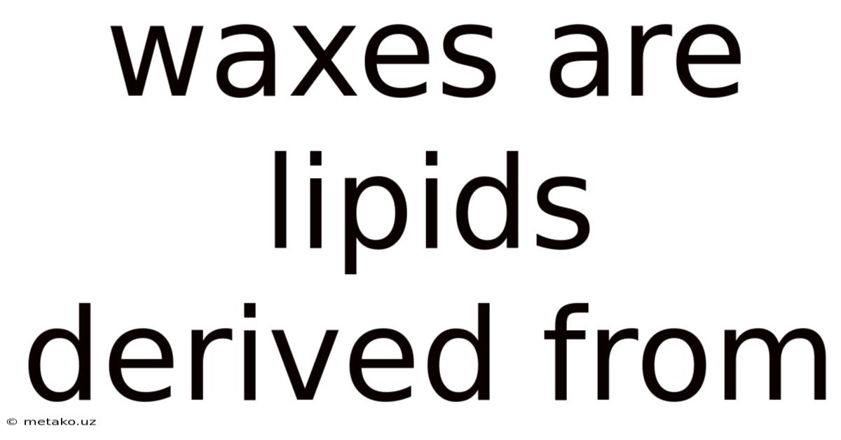Waxes Are Lipids Derived From