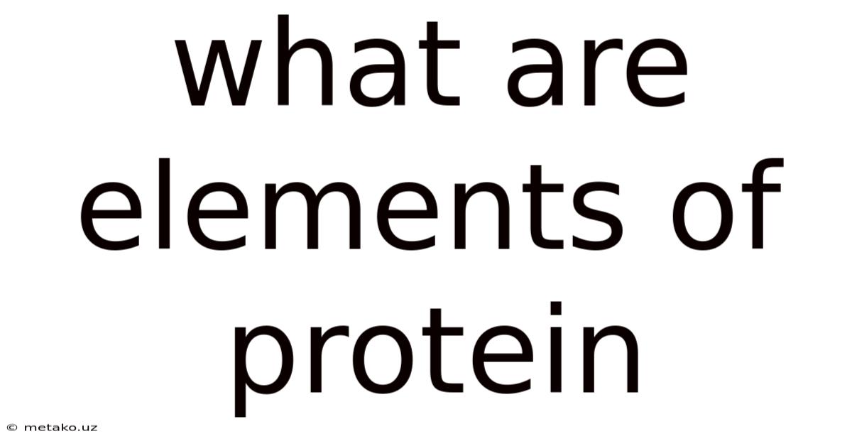 What Are Elements Of Protein