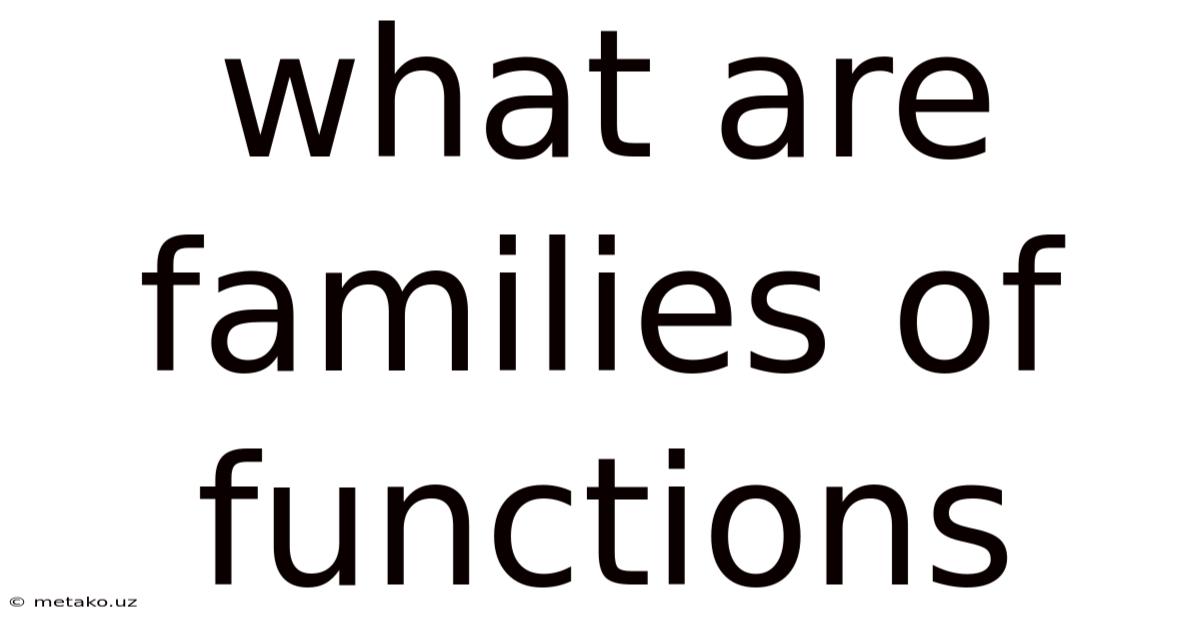 What Are Families Of Functions