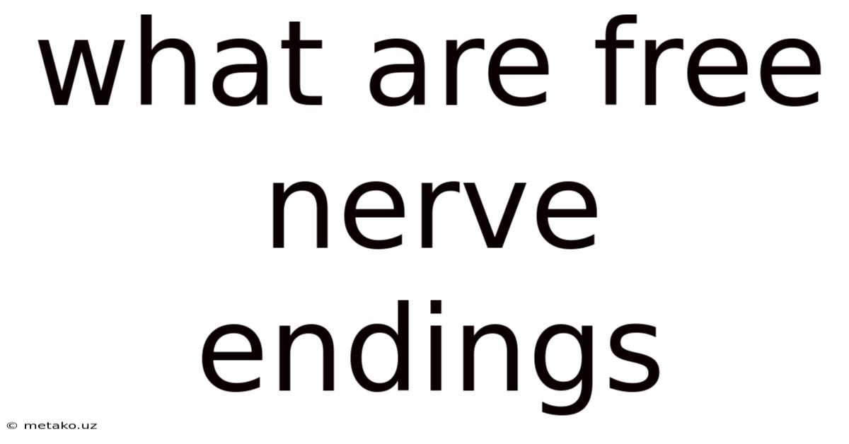 What Are Free Nerve Endings