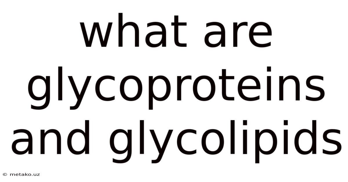 What Are Glycoproteins And Glycolipids