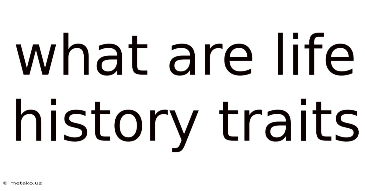 What Are Life History Traits