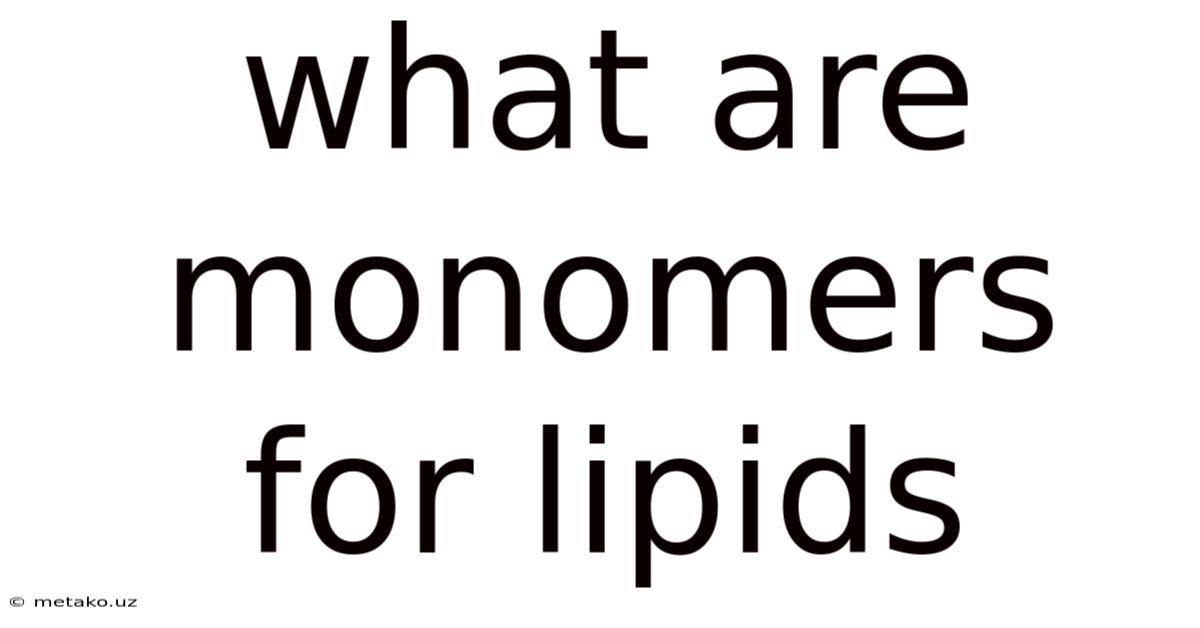 What Are Monomers For Lipids