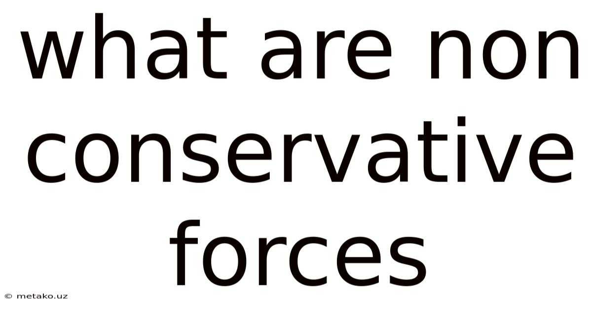 What Are Non Conservative Forces