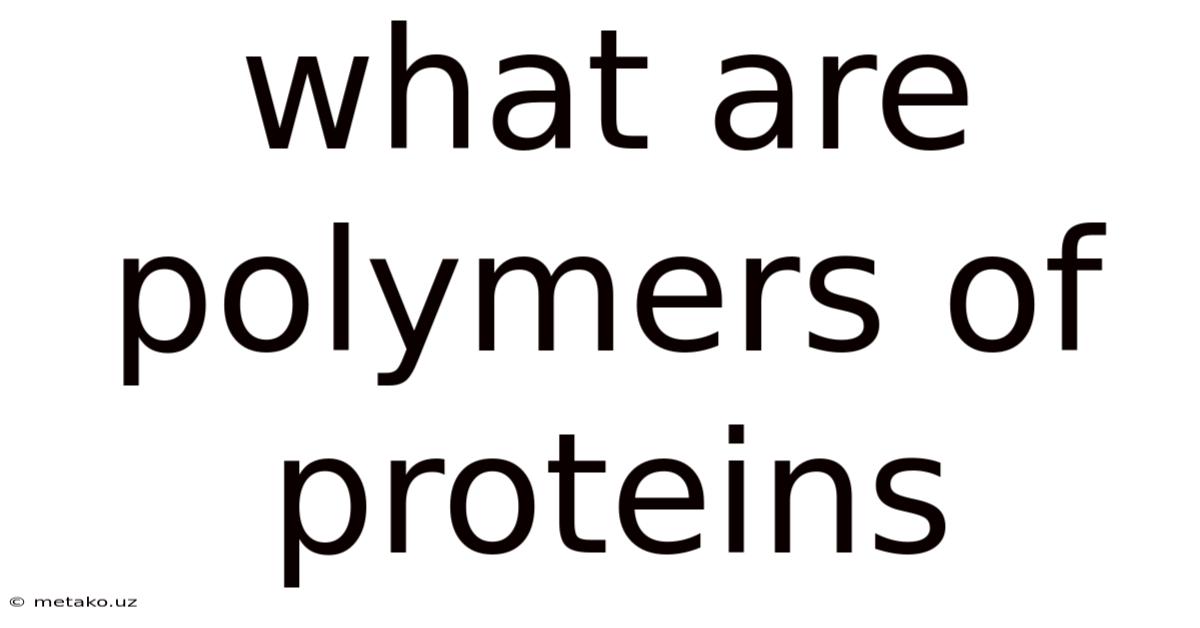 What Are Polymers Of Proteins
