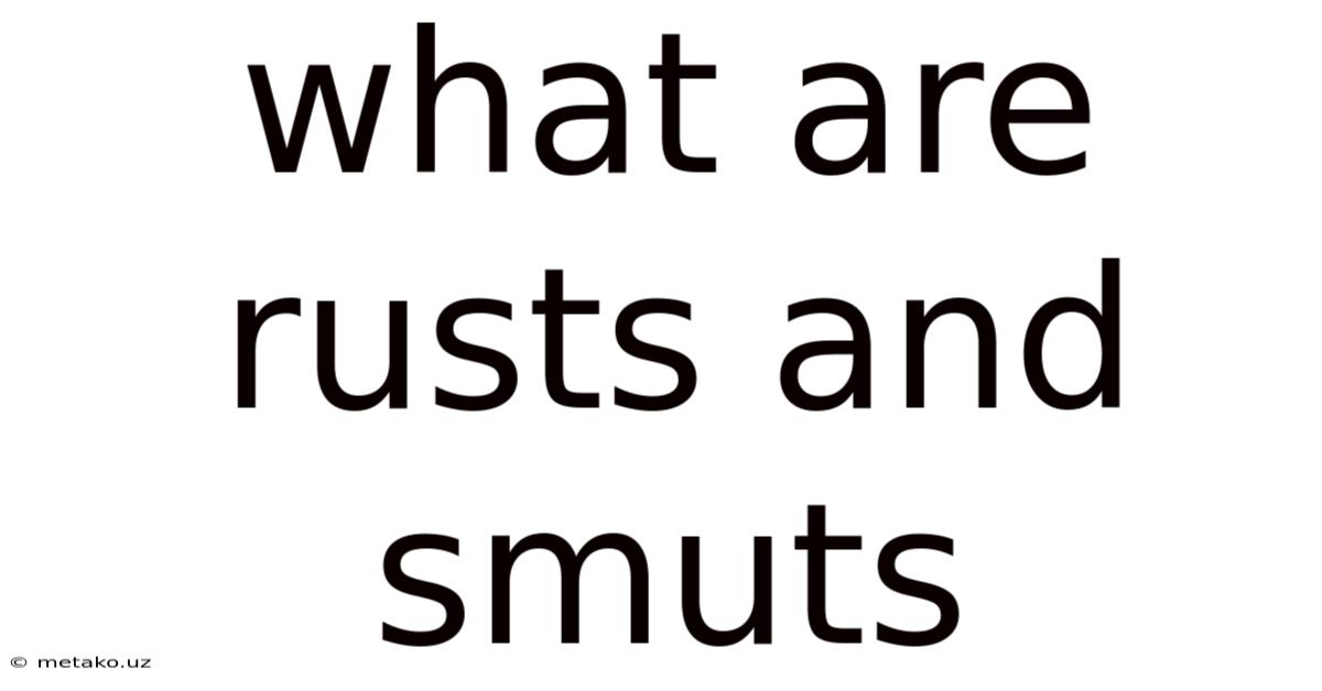 What Are Rusts And Smuts