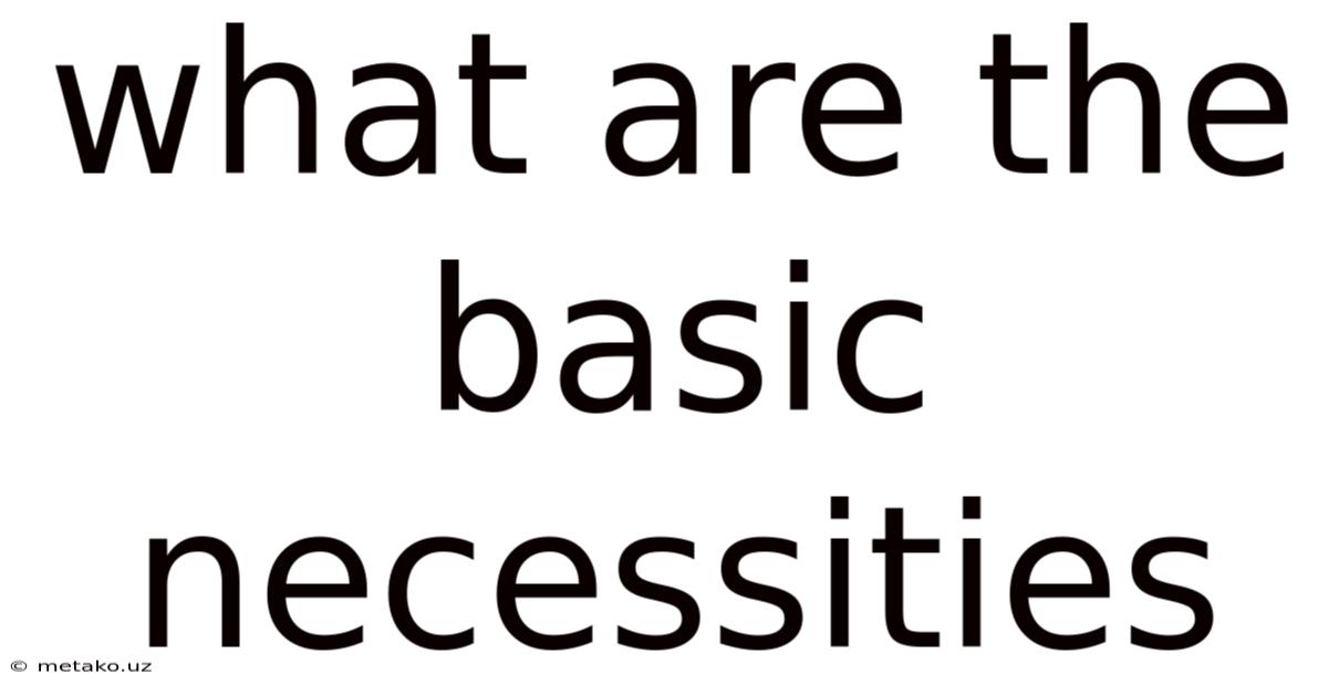 What Are The Basic Necessities