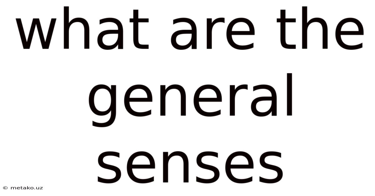 What Are The General Senses