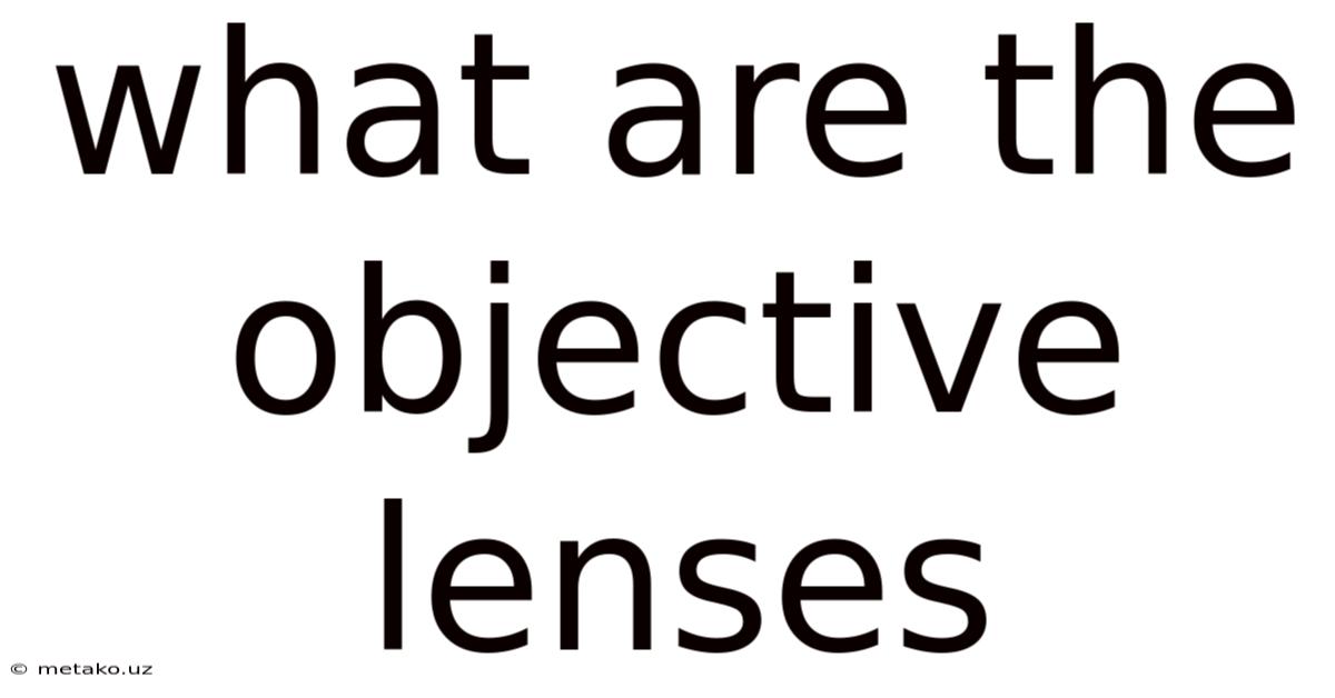 What Are The Objective Lenses
