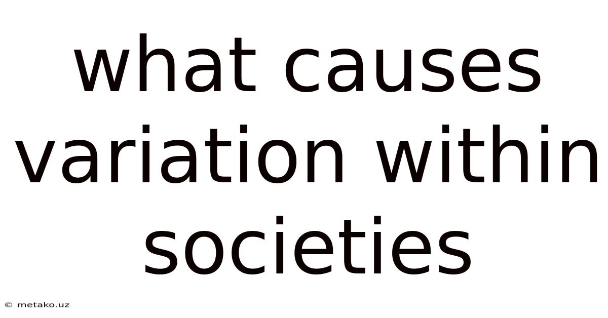 What Causes Variation Within Societies