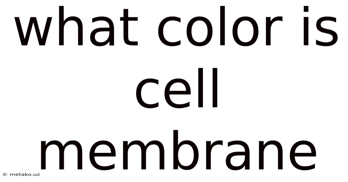 What Color Is Cell Membrane