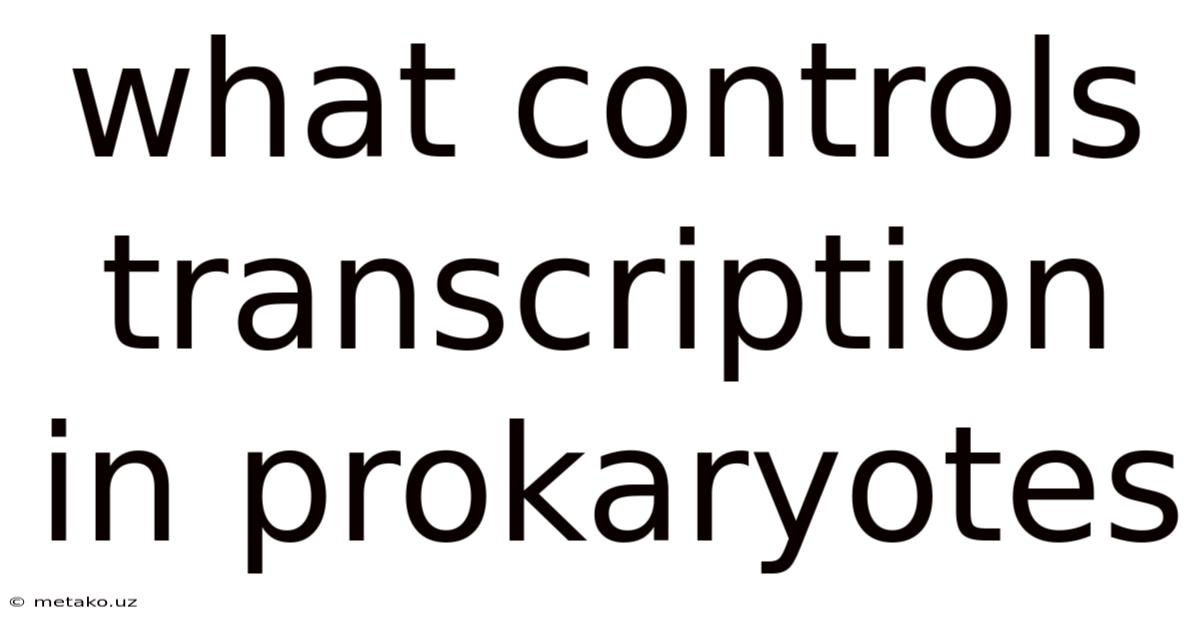 What Controls Transcription In Prokaryotes