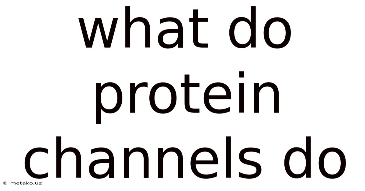 What Do Protein Channels Do
