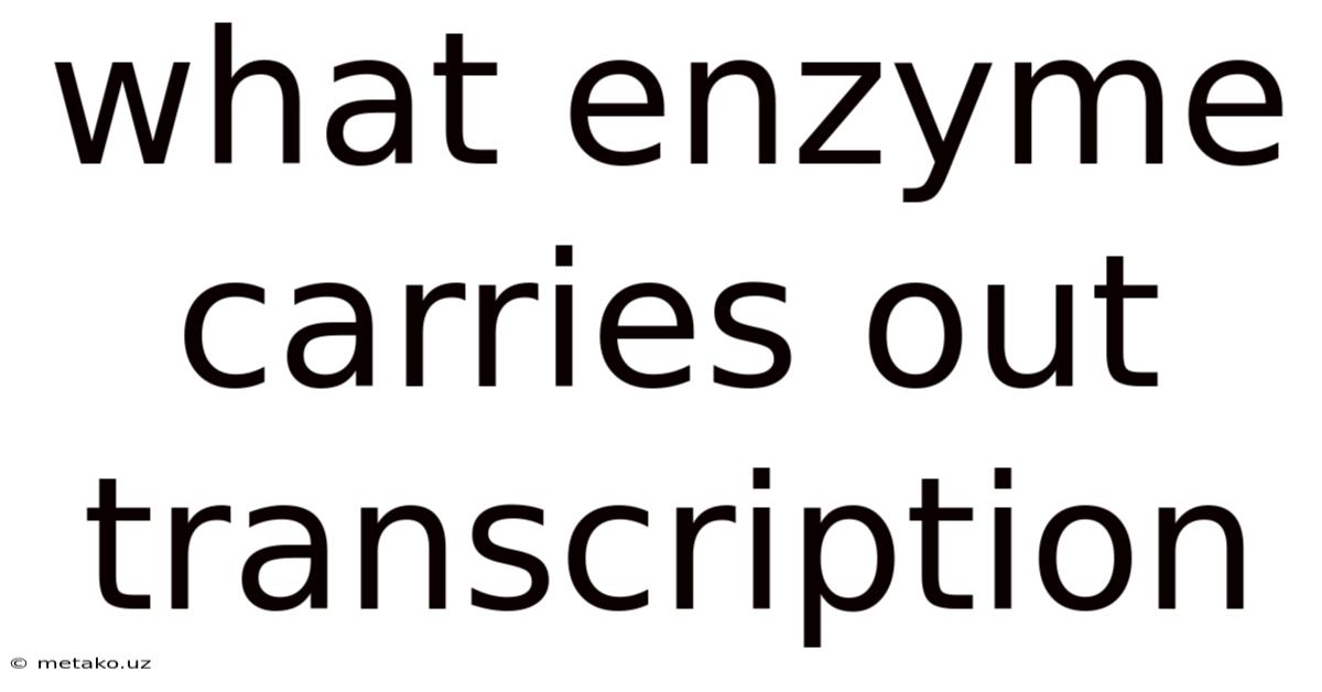 What Enzyme Carries Out Transcription
