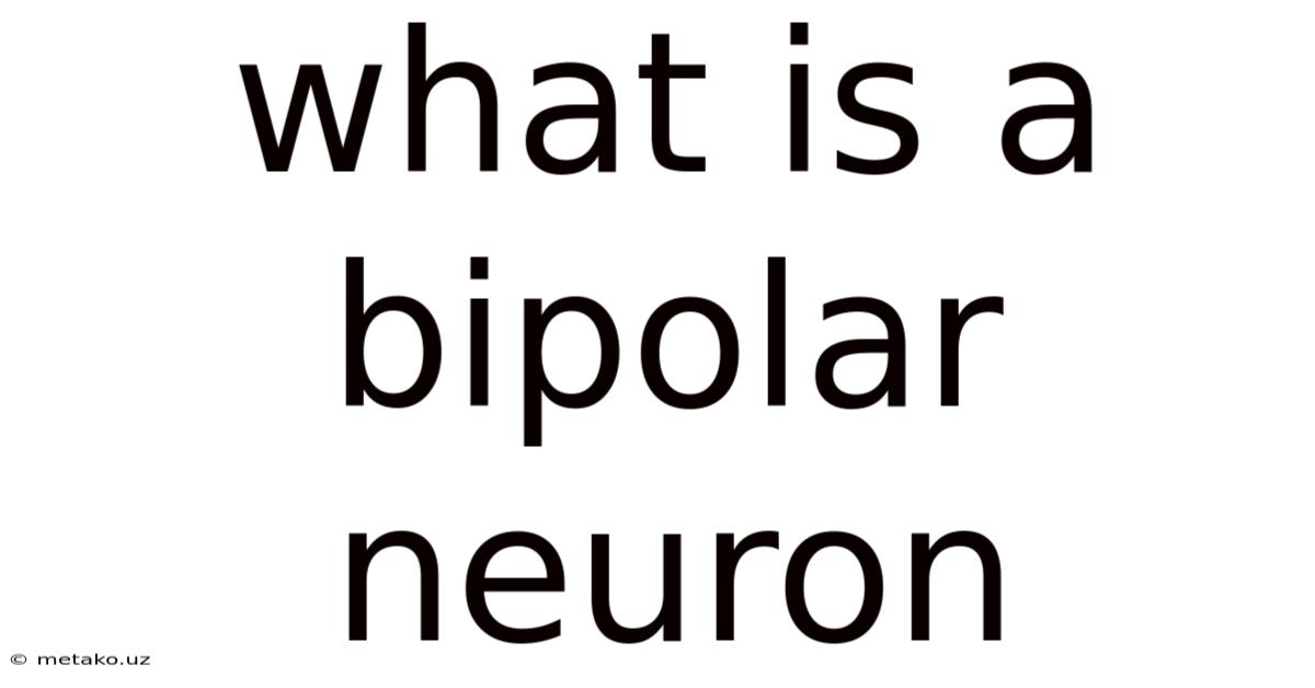 What Is A Bipolar Neuron