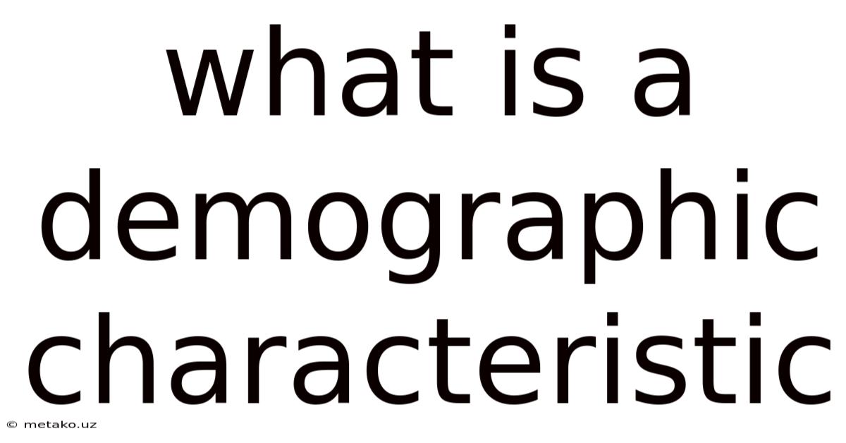 What Is A Demographic Characteristic