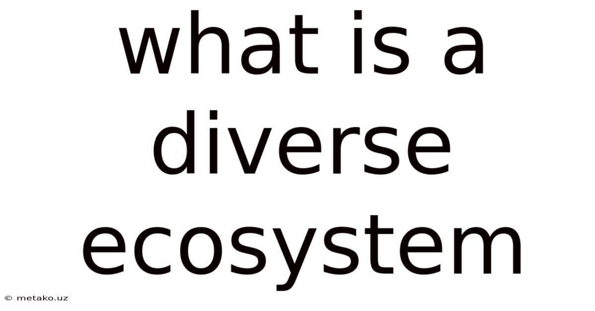 What Is A Diverse Ecosystem