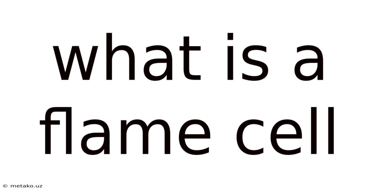 What Is A Flame Cell