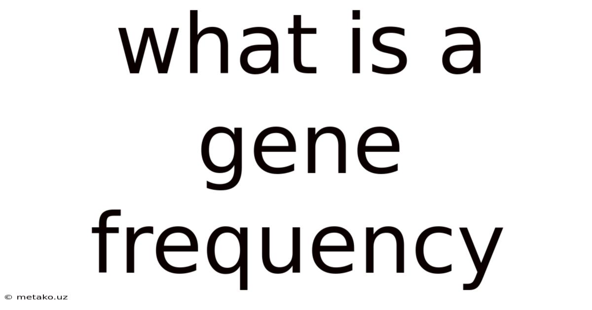 What Is A Gene Frequency