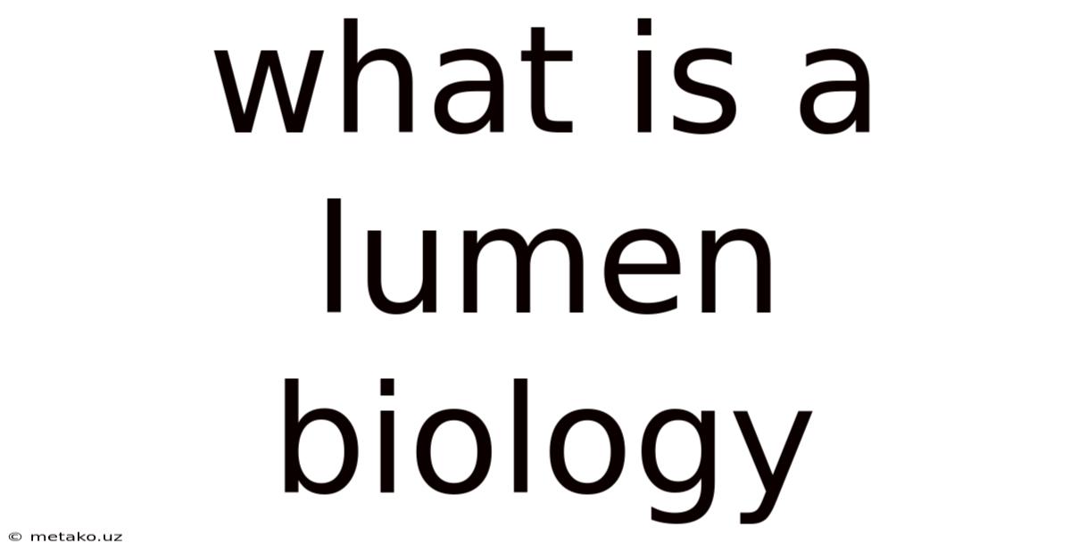What Is A Lumen Biology