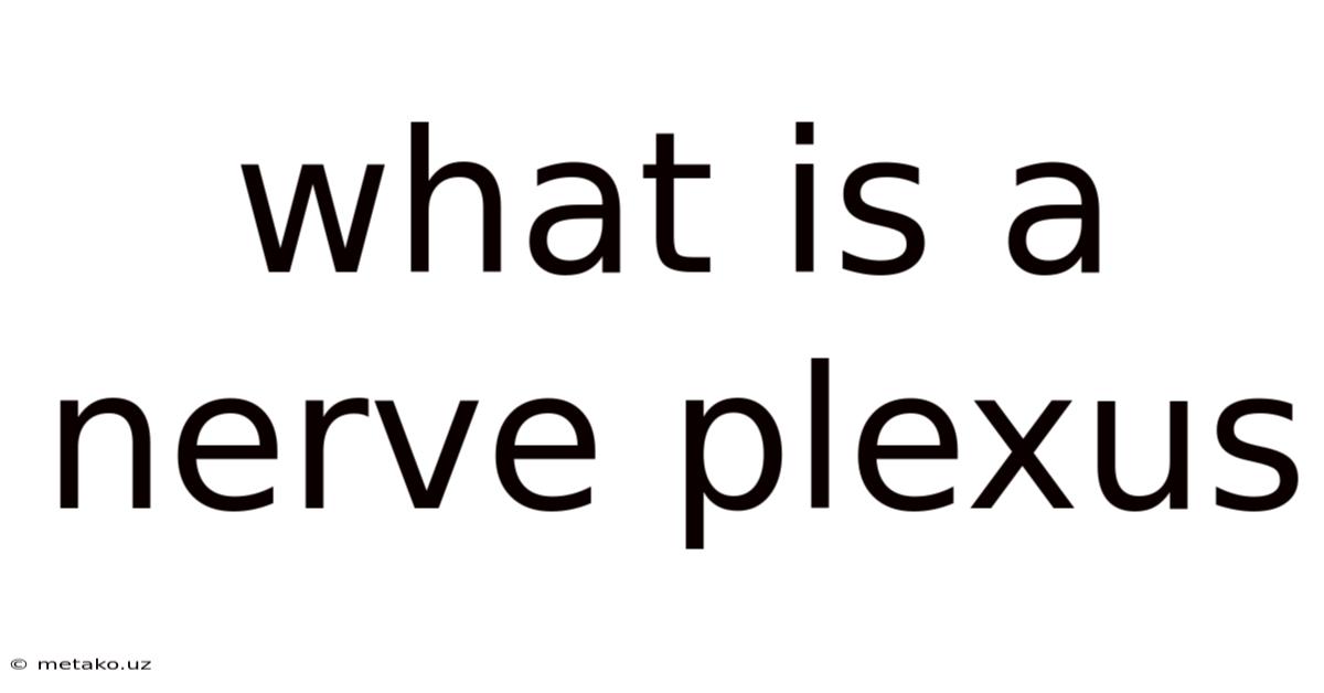 What Is A Nerve Plexus