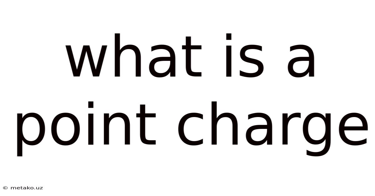 What Is A Point Charge