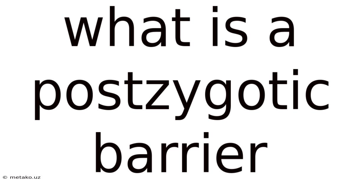 What Is A Postzygotic Barrier