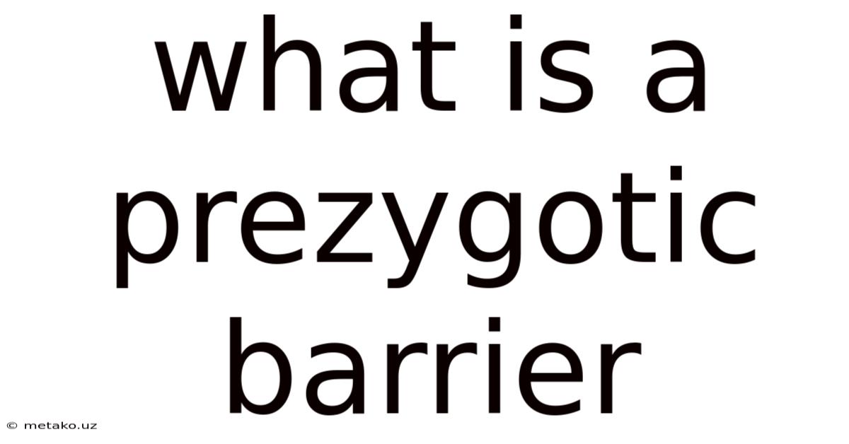 What Is A Prezygotic Barrier