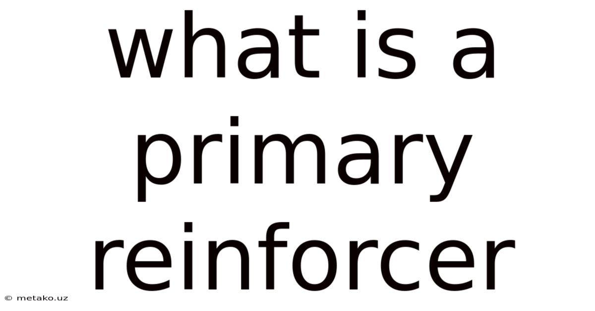 What Is A Primary Reinforcer