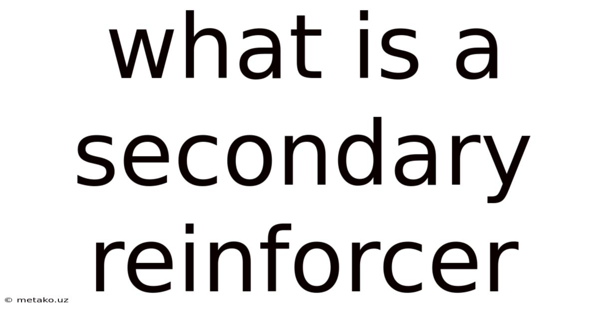 What Is A Secondary Reinforcer