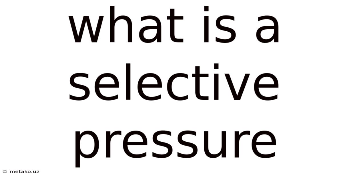 What Is A Selective Pressure