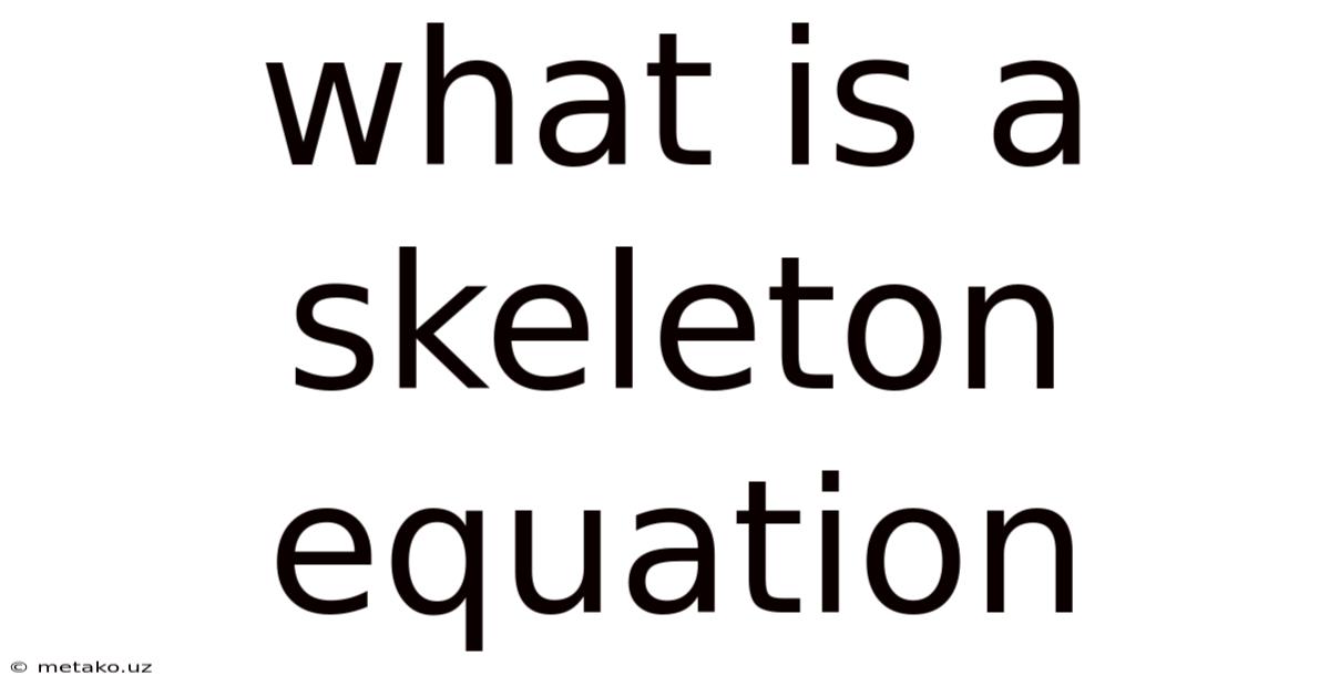What Is A Skeleton Equation