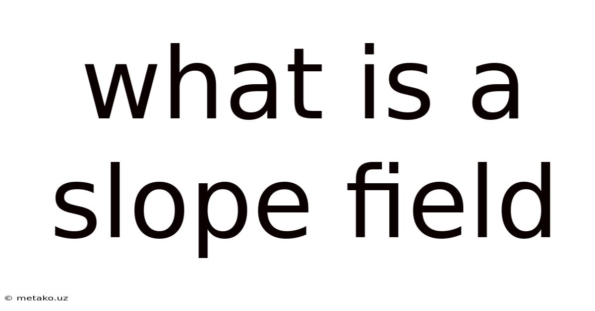 What Is A Slope Field