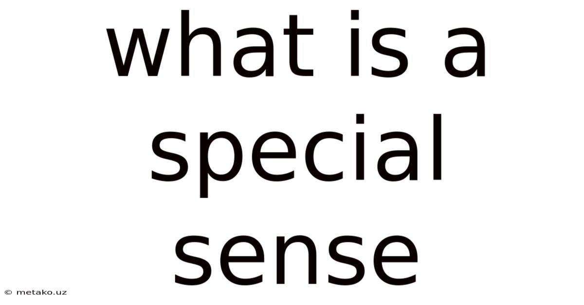 What Is A Special Sense