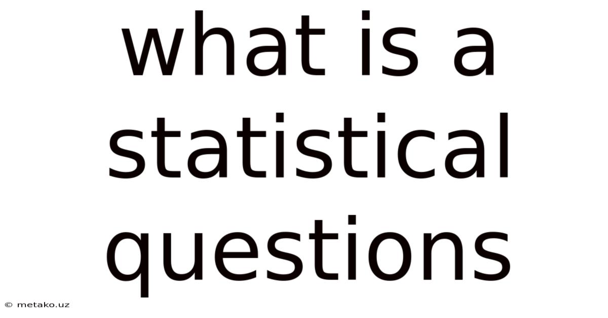 What Is A Statistical Questions