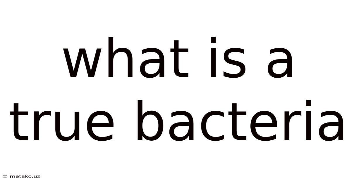 What Is A True Bacteria